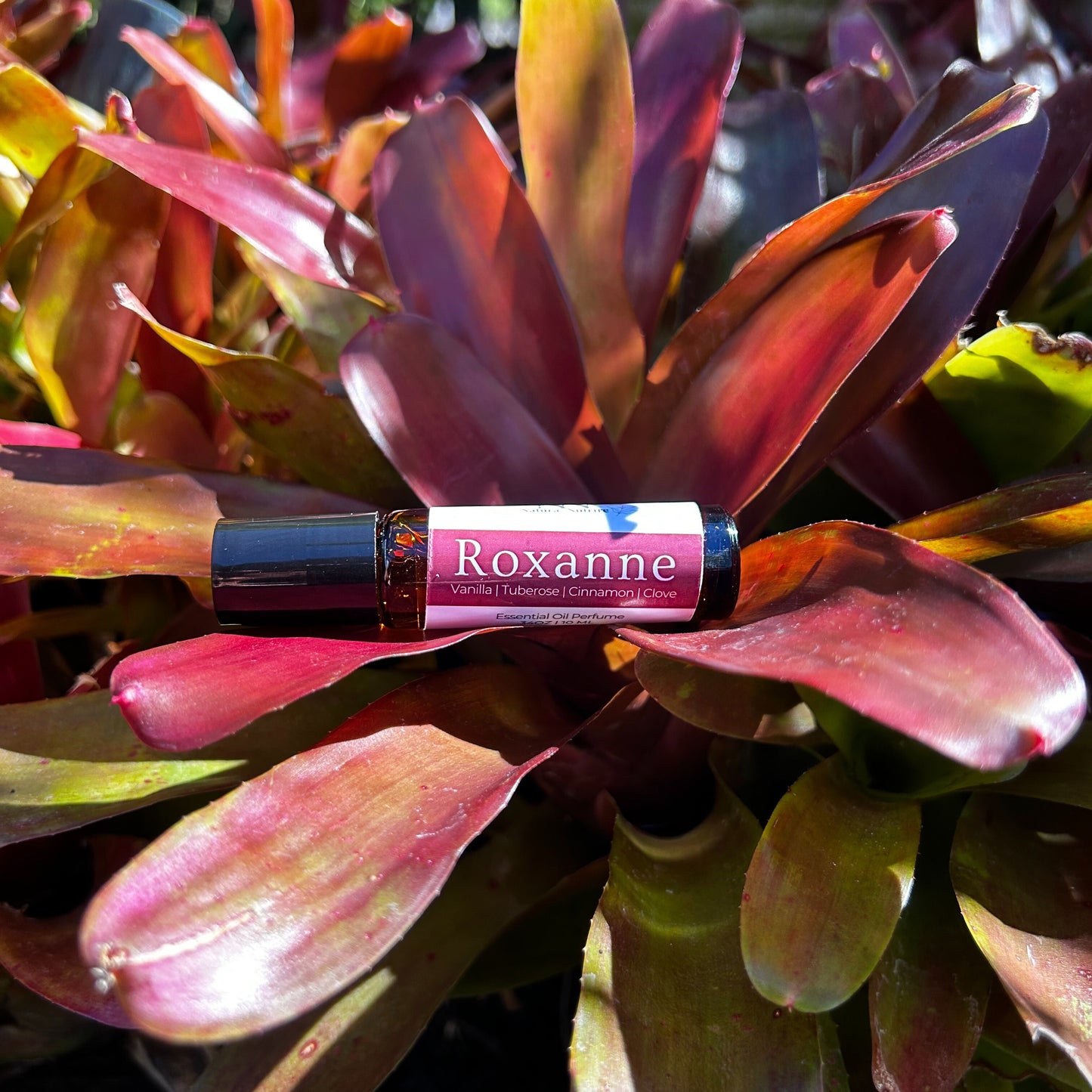 Roll-on bottle labeled 'Roxanne' on a plant with pink and green leaves