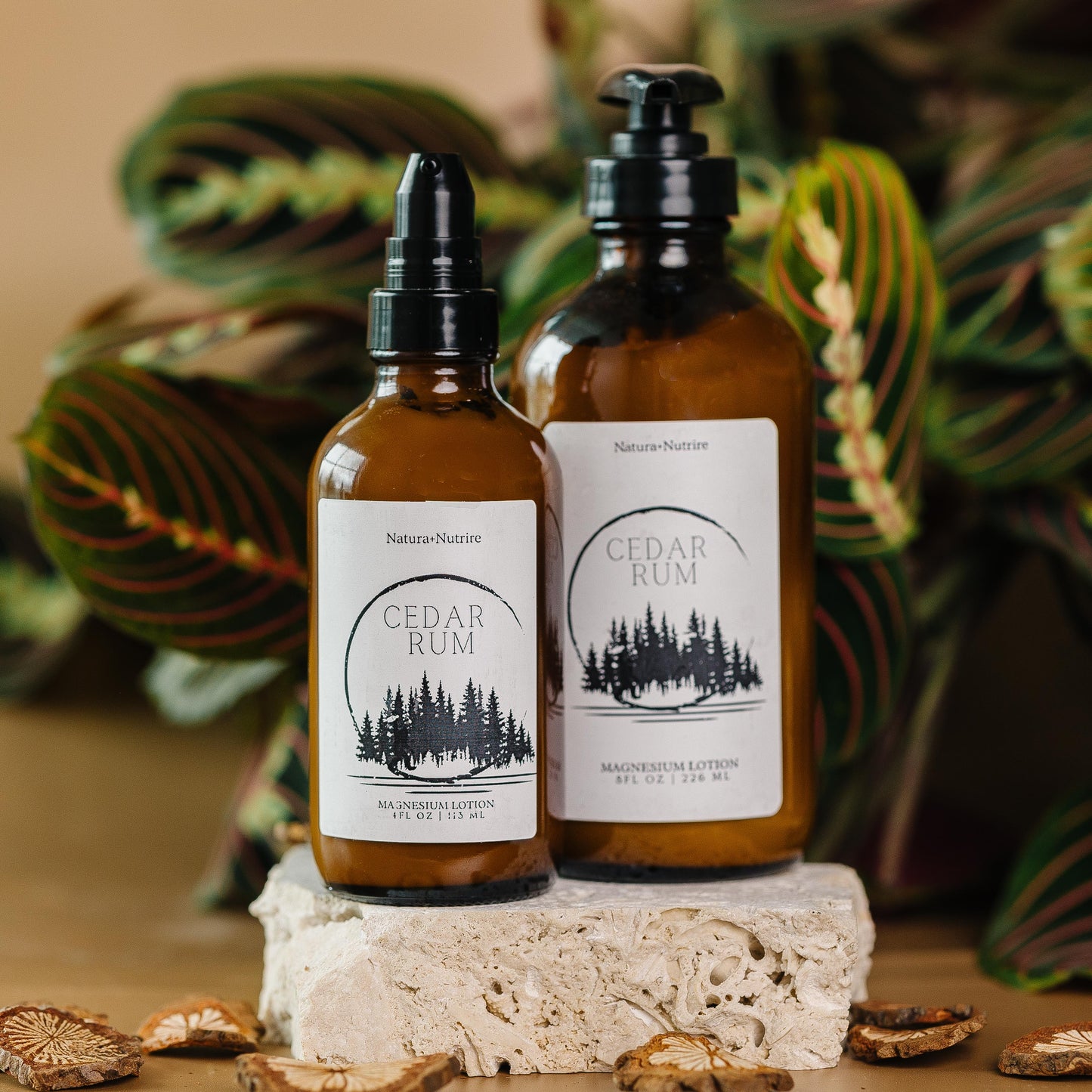 Cedar Rum Magnesium Lotion | Nourish & Relax Your Skin