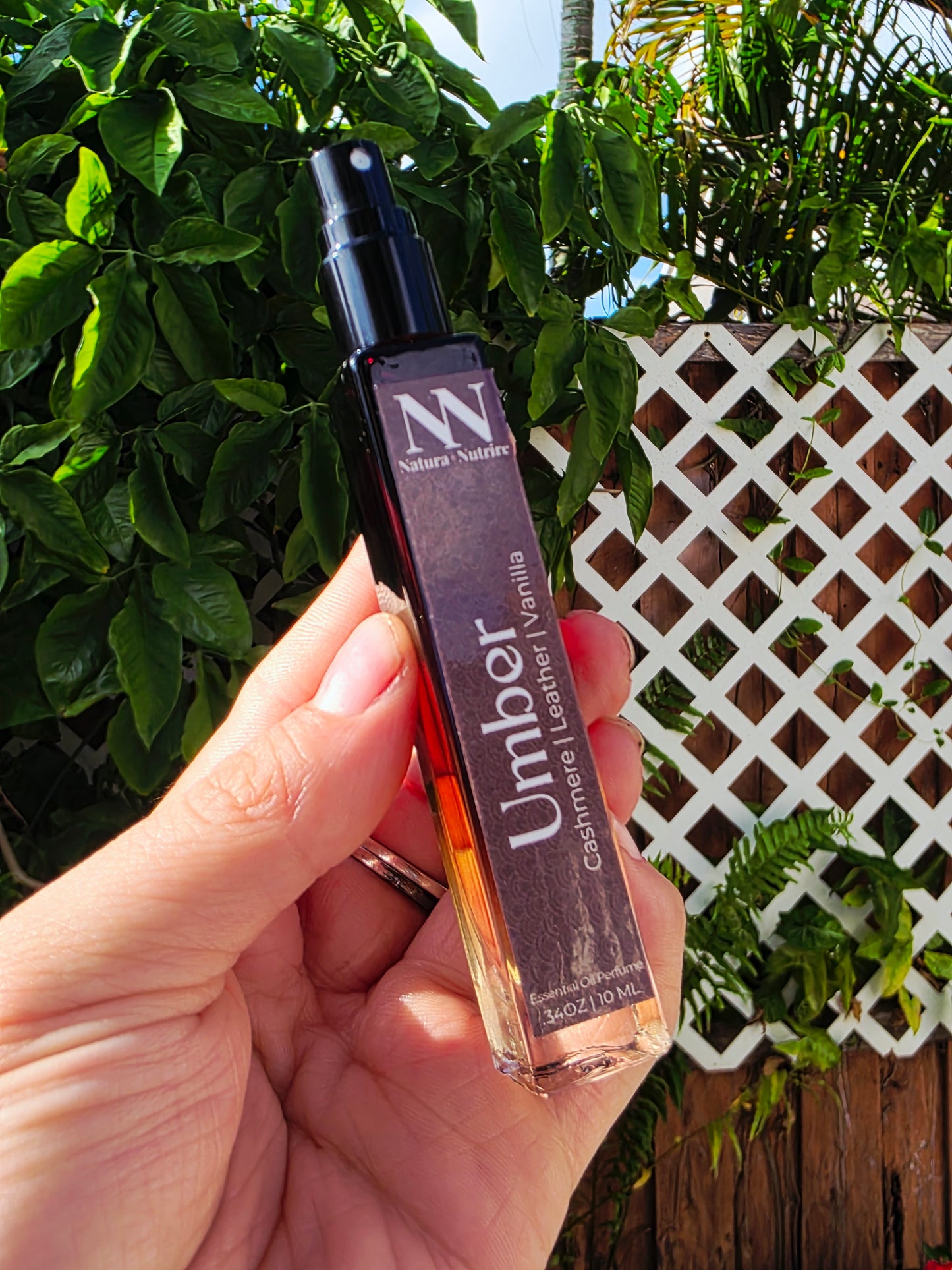 Lux Perfume Collection